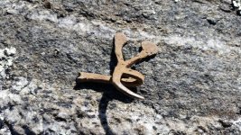 WhatIsIt2.jpg WhatIsIt2.jpg