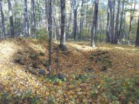 Fall leaf covered cellar.jpg