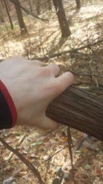 Big Vines.jpg