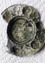 Rosette Back.jpg