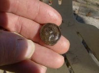 old eagle button 002.jpg