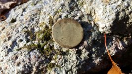 Copper3.jpg