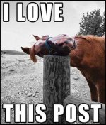 post love.jpg