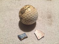 20151114 (6).JPG