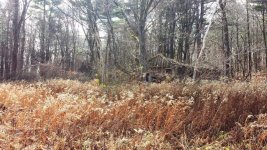Dilapidated Barn.jpg