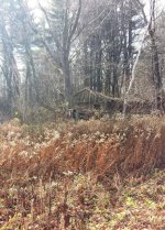 Dilapidated Barn2.jpg