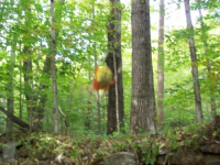 SEPT 11TH DUD HUNT 006 [].jpg.png