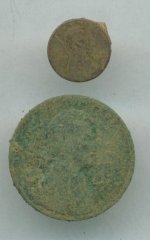 529.jpg