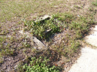 2010_0914haidenbirthdayandlot0049.JPG.png