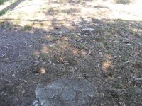 2010_0914haidenbirthdayandlot0052.JPG.png