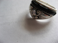 ring garden 2 005.JPG.png