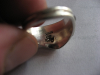 ring garden 2 003.JPG.png