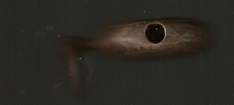scan0028.jpg.png
