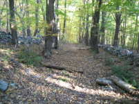 SEPT 25TH CELLAR HOLES CAPPED BUST AND LARGE COPPER 016 [].jpg.png