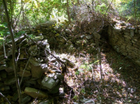 SEPT 25TH CELLAR HOLES CAPPED BUST AND LARGE COPPER 003 [].jpg.png