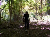 SEPT 25TH CELLAR HOLES CAPPED BUST AND LARGE COPPER 005 [].jpg.png