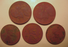 Wheats 9-25.JPG.png
