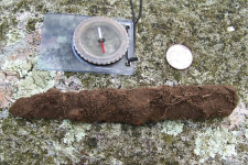 Gs iron relic pequot hunt.JPG.png
