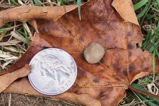 Gs musket ball 9-25-10 s.JPG