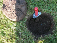 Silver in Plug 6-24.JPG.png