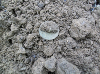 OCT 3ND HUNT WITH FRANK COLONIAL RELIGEOUS MEDAL 005 [].jpg.png