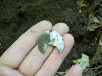 OCT 3ND HUNT WITH FRANK COLONIAL RELIGEOUS MEDAL 004 [].jpg.png