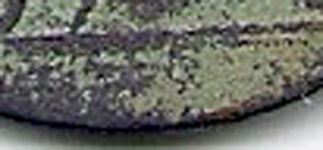 LC closeup copy.jpg.png