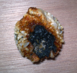 crud coin.jpg.png
