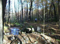 OCT 10th  hunt with paul & frank 004 [].jpg.png
