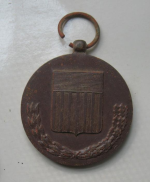 Defense%20Medal%2010-9%20b.jpg.png