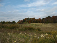 IMG_3535.jpg.png