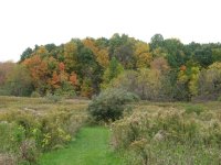 IMG_3560.jpg