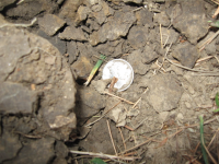 2010 finds 414.jpg.png
