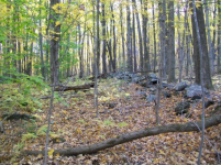 OCT 13TH CELLAR HOLE 1800S POCKET SPILL 022.jpg.png