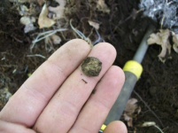 OCT 13TH CELLAR HOLE 1800S POCKET SPILL 009.jpg.png