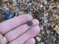 OCT 17TH COMPLETE SHOE BUCKLE 001 [].jpg.png