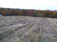 OCT 18TH FARM FIELD HUNT WITH GARY 004 [].jpg.png