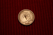 IMG_7416_1.jpg.png