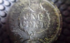 IH back macro.jpg
