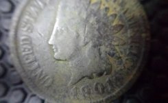 IH macro.jpg