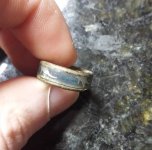Dino Ring.jpg