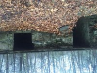 IMG_3330.jpg IMG_3330.jpg