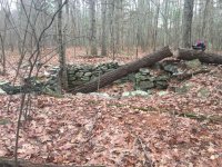 IMG_3343.jpg