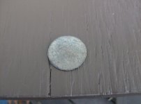 first find in 2016 (Lg cent) 003.jpg