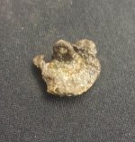 Pewter Shank.jpg