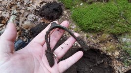 brass spur dirty.jpg