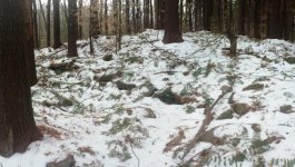 Barn-outbuilding footprint.jpg Barn-outbuilding footprint.jpg