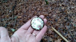 Brooch.jpg