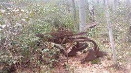Old Horse Plow.jpg