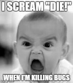 at die bugs.jpg